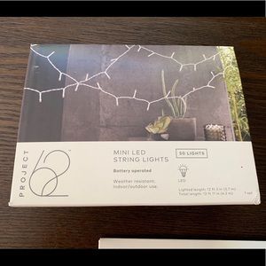 Mini LED String Lights (Battery Operated)